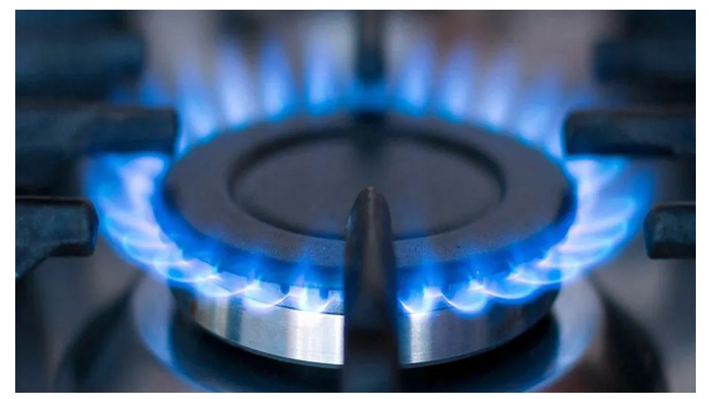 Illegal Gas Connections Disconnected in Mohammadpur, Fined Tk 120,000